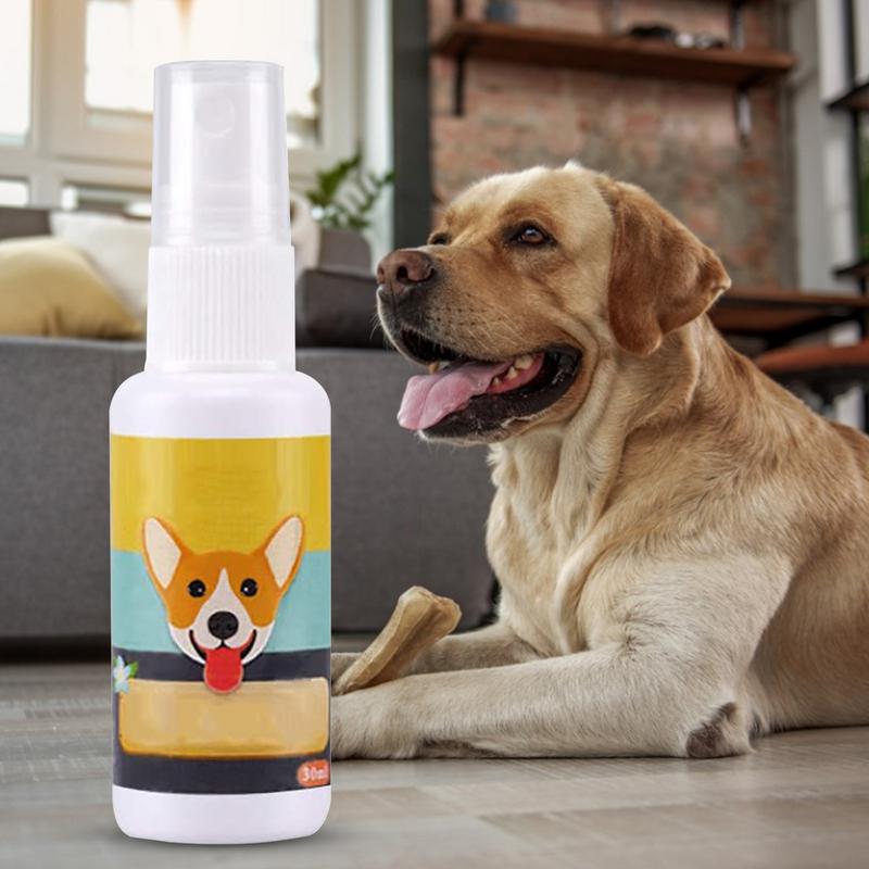 1PCS Dog Potty Train Spray por - Travel Accessories Dropshipping recensione e prezzo