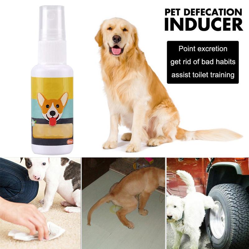 1PCS Dog Potty Train Spray por - Travel Accessories Dropshipping recensione e prezzo