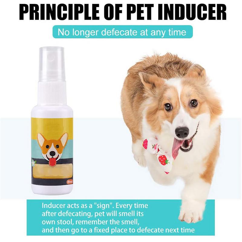 1PCS Dog Potty Train Spray por - Travel Accessories Dropshipping recensione e prezzo