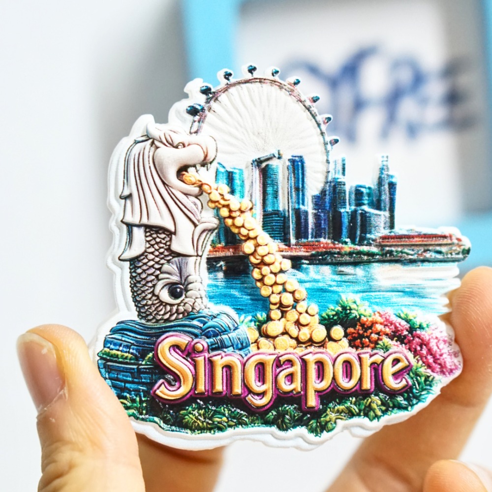 1PC Magneti per frigorifero Si - Travel Accessories Singapore recensione e prezzo